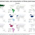Current Darknet Markets