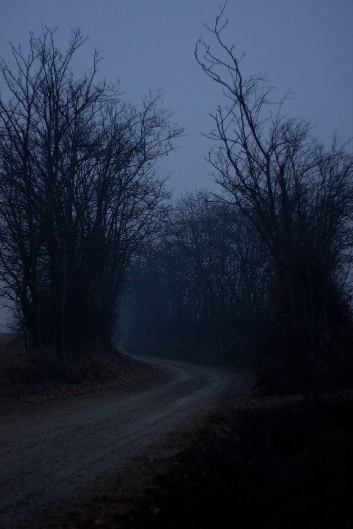 dark web websites