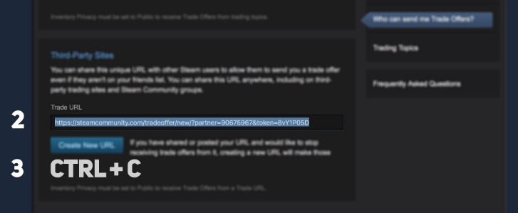 Dark Web Prostitution