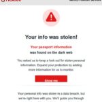 Acess The Dark Web