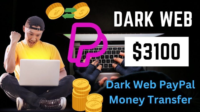 best dark web counterfeit money