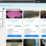 Best Dark Web Markets
