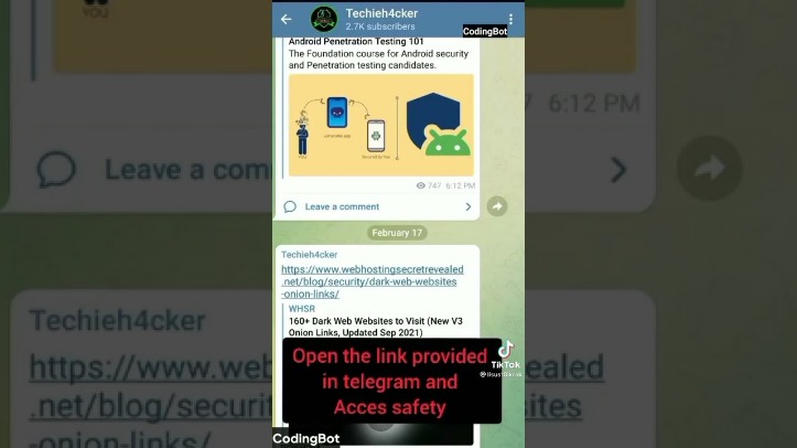 Dark Web Acess