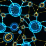 Dark Web Markets 2024 Reddit