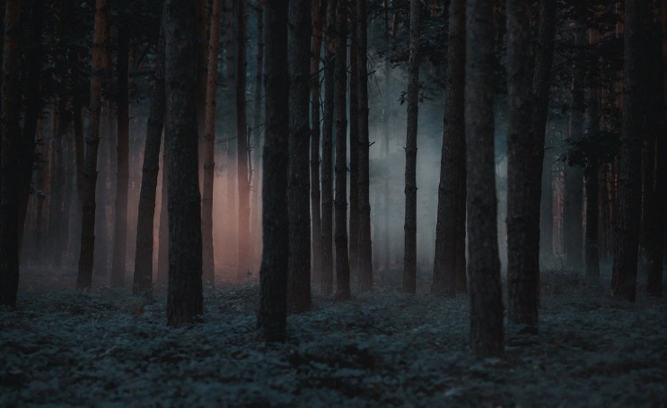 dark website