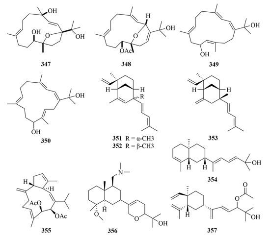 Darknet Drugs 2025