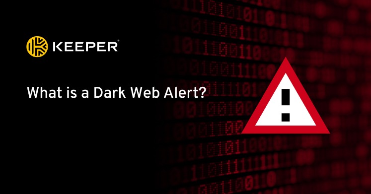 best websites dark web