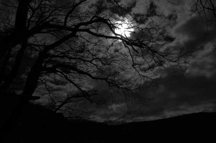 dark markets albania