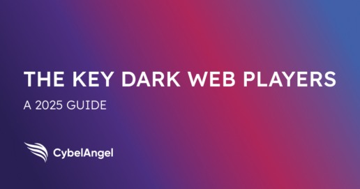 browse the dark web