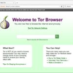 Access Dark Web