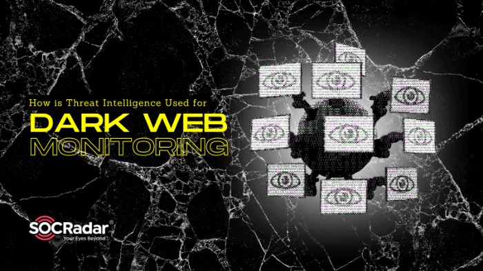 Access To The Dark Web