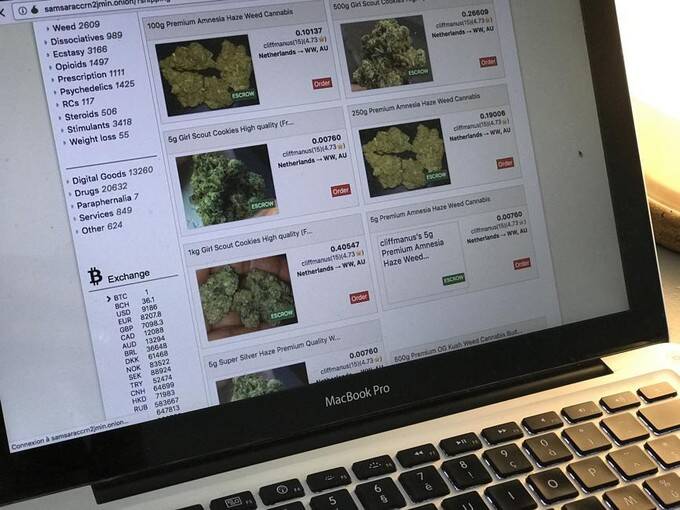 cannabis dark web