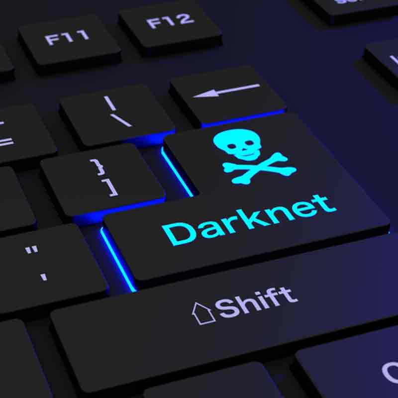 best darknet drug sites