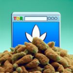 Best Drug Darknet