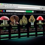Best Darknet Markets 2025